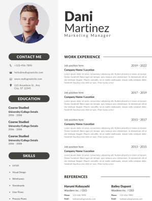 Professional CV Resume